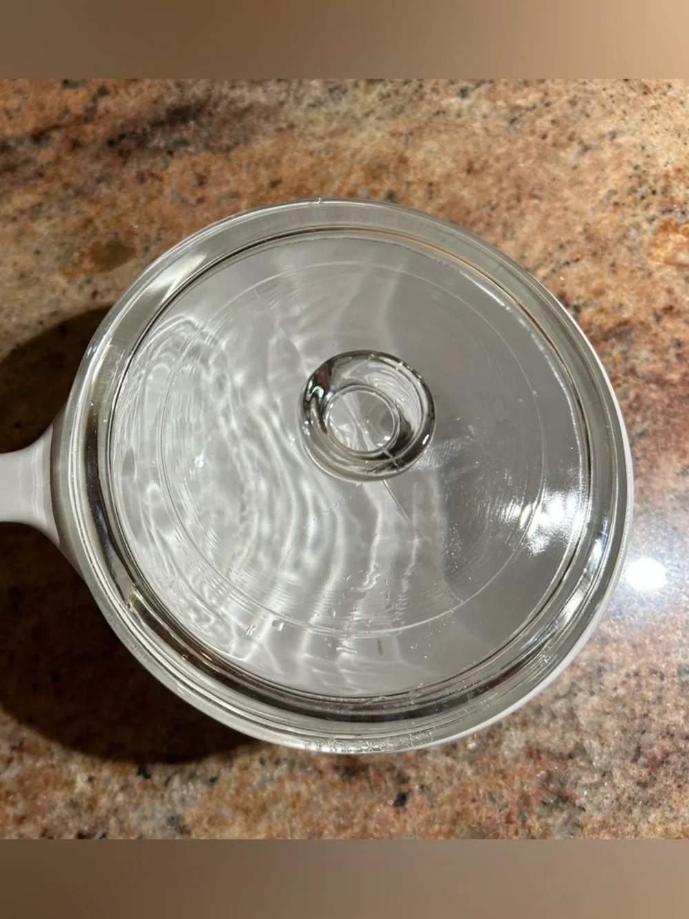 Corning French “La Sauge” P-81-B Spice of Life w/Pyrex glass lid P-81-C Set of 2